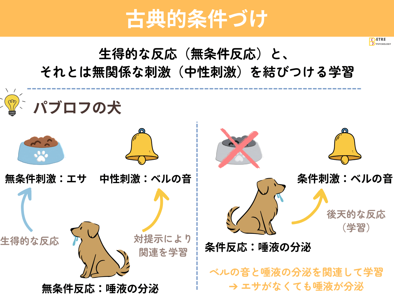 「古典的条件づけとパブロフの犬」の解説・学習補助画像